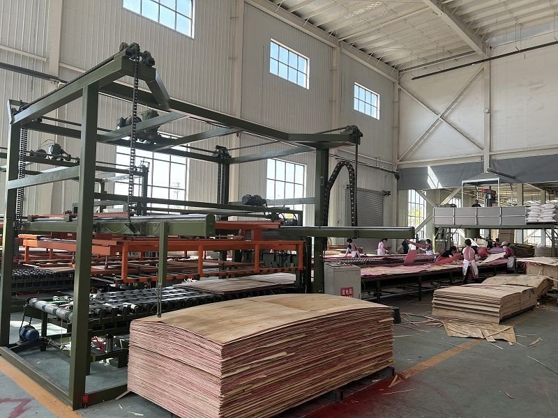 Plywood Assembly Line factory