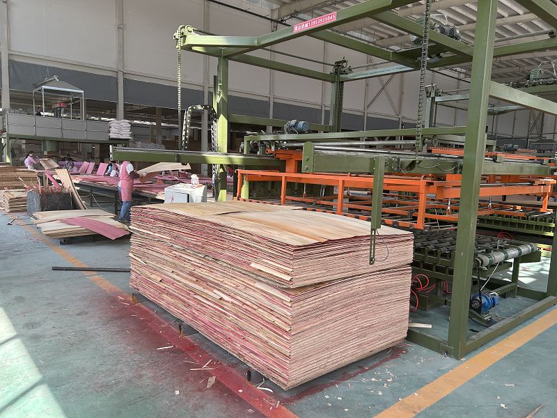 Plywood Assembly Line
